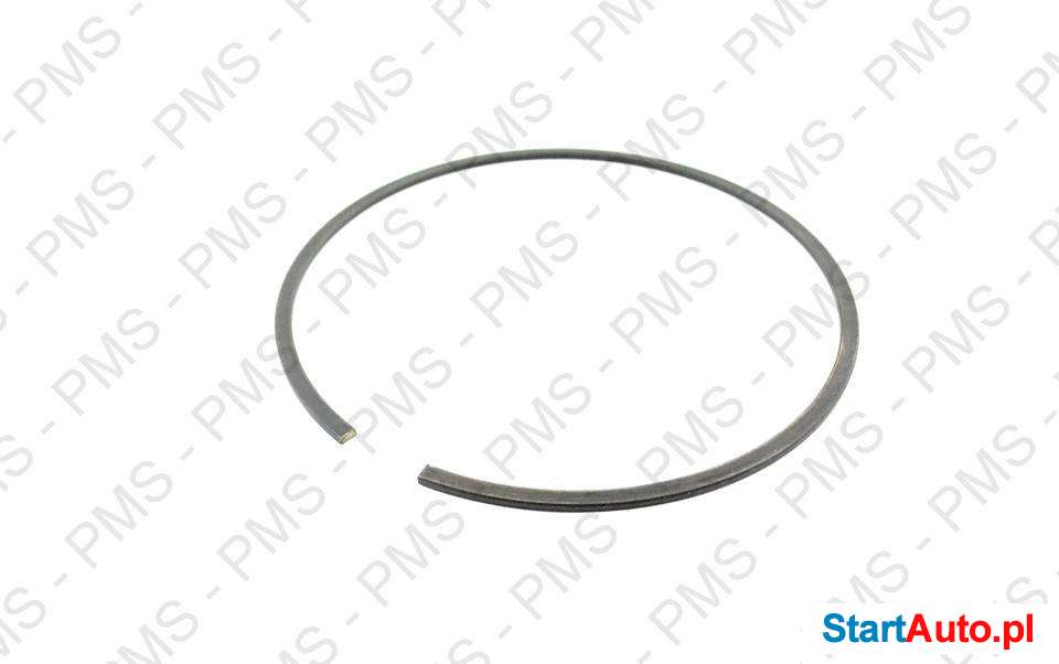 czesci-zamienne-zf-rodzaje-pierscieni-czesci-zf-24h-warminsko-mazurskie-platyny-540375188