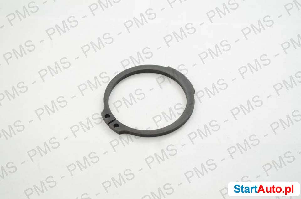 czesci-zamienne-zf-rodzaje-pierscieni-czesci-zf-platyny-540375186