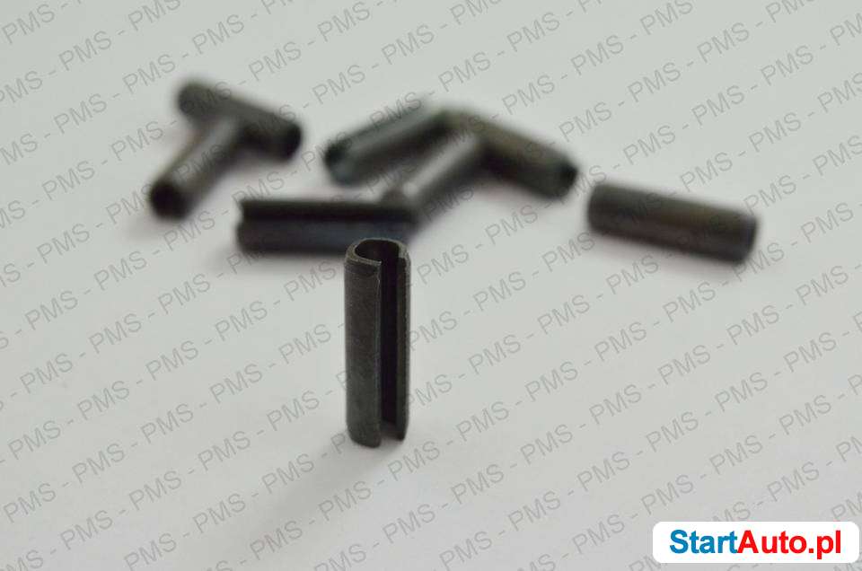 czesci-zamienne-zf-rodzaje-pinow-czesci-zf-platyny-540384805