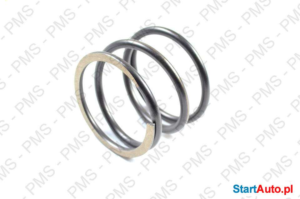 czesci-zamienne-zf-rodzaje-sprezyn-sprezyna-pelny-vat-platyny-540386669