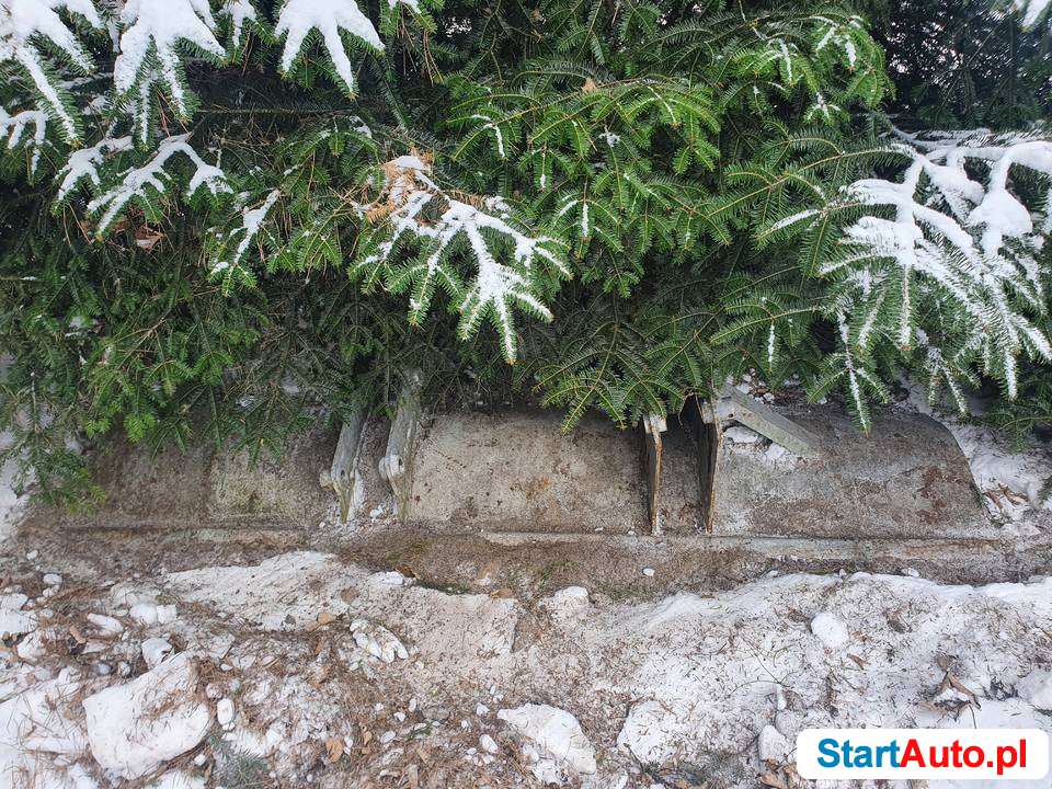 plug-do-sniegu-debica-539967127