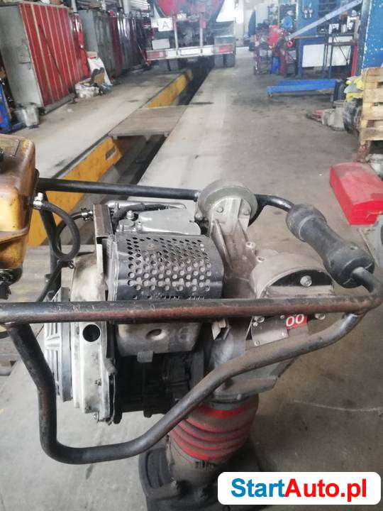 skoczek-ubijak-myslowice-541024510