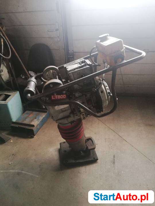 skoczek-ubijak-nie-slaskie-541024513