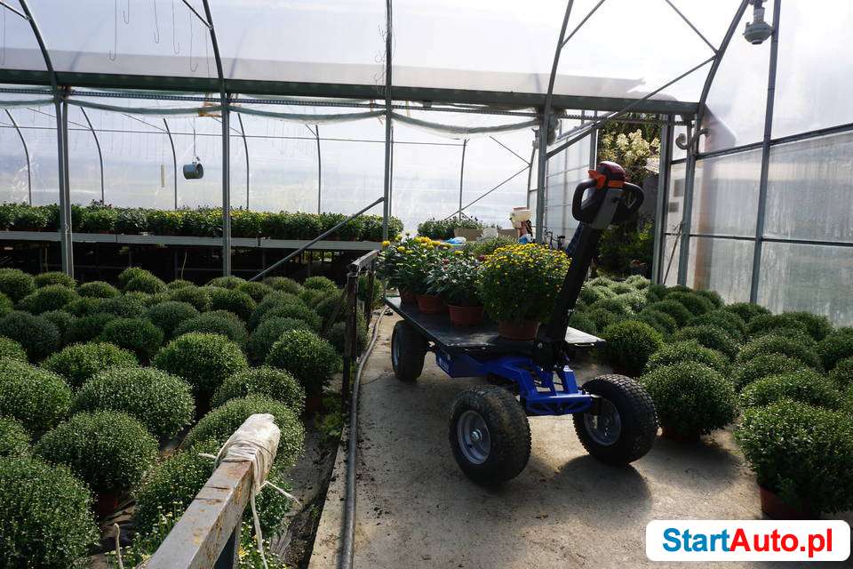 transporter-z-napedem-elektrycznym-udzwig-600-522167094-1