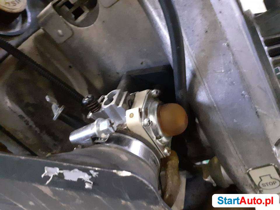wacker-bs-600-602-skoczek-stopa-bomag-belle-434-trzebnica-539044236