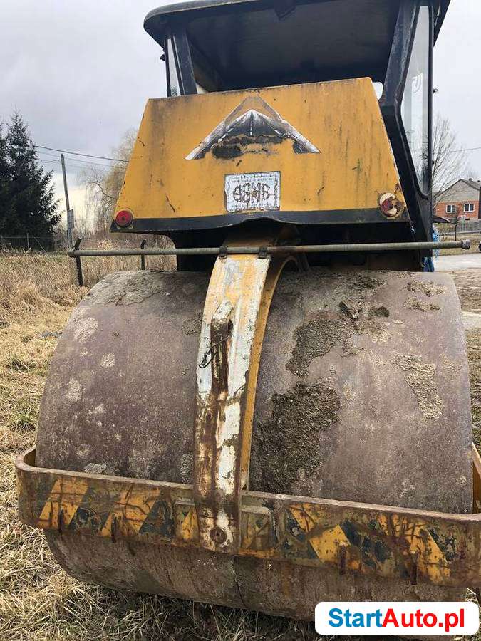 walec-amman-541532750