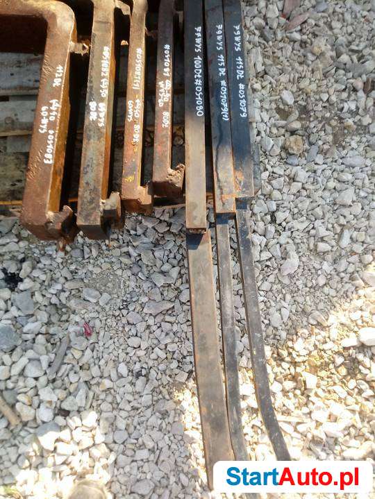 widly-11579-10077-8060-8064-11260-swietokrzyskie-kielce-508959487