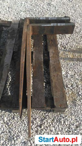 widly-40-53-110-13-swietokrzyskie-508958825