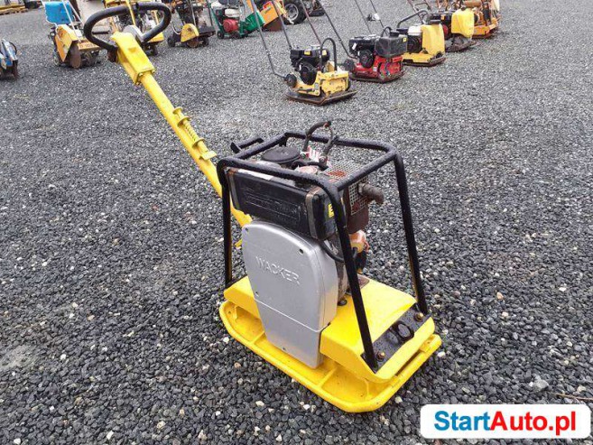 zageszczarka-wacker-dpu-2440-353-ammann-weber-539373943